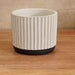 Laura Terracotta Planter With Stand 14X14X12Cm - White Pan Home