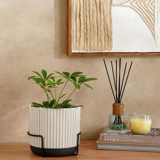 Laura Terracotta Planter With Stand 17X17X19.8Cm- White Pan Home