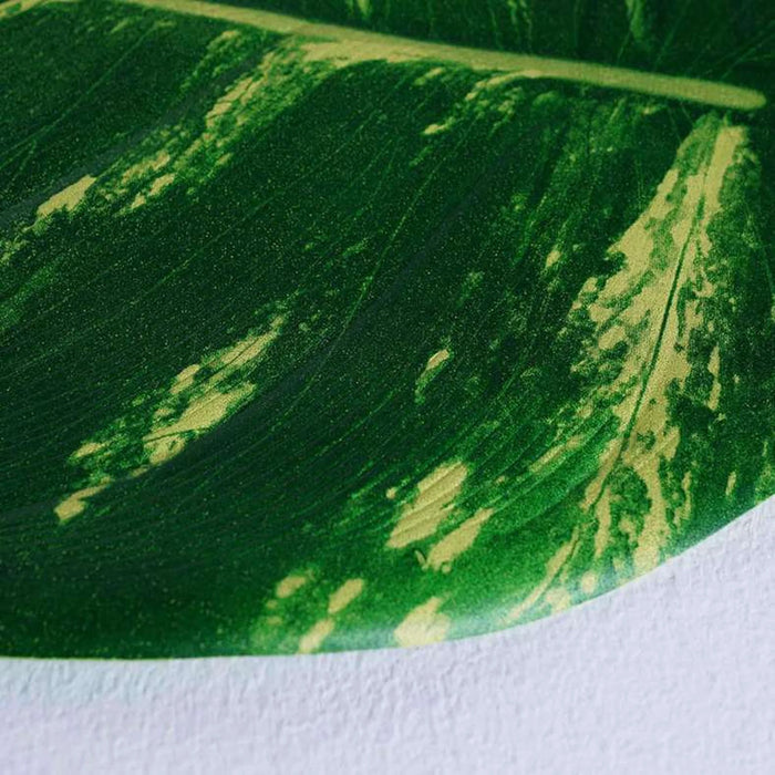 Leaf Placemat Green 50X38Cm