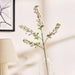 Lucky Fruit Artificial Stem H88Cm - White Pan Home