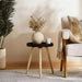 Maison Accent Table Wood - Black & Natural Pan Home