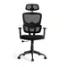 Marics Office High Back Chair Mesh Fabric - Black Pan Home