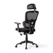 Marics Office High Back Chair Mesh Fabric - Black Pan Home