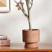 Maura Stoneware Planter 14X14X14Cm - Terracotta Pan Home