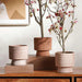 Maura Stoneware Planter 14X14X14Cm - Terracotta Pan Home