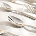 Merlin 16-Piece Cutlery Set -Chrome Pan Home