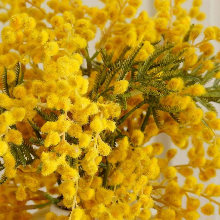 Mimosa Flower In Ceramic Pot H33Cm - Yellow Pan Home