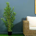 Mini Bamboo Tree Green H150Cm Pan Home