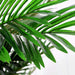 Mini Palm Tree Green H180Cm Pan Home