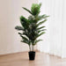 Mini Palm Tree Green H180Cm Pan Home