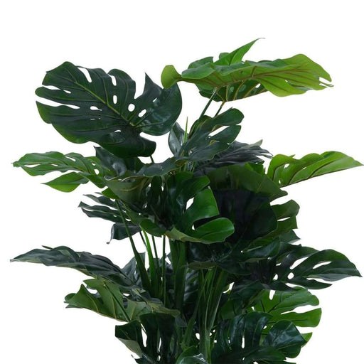 Monstera Tree Green H120Cm Pan Home