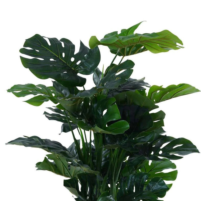 Monstera Tree Green H120Cm Pan Home