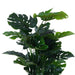 Monstera Tree Green H120Cm Pan Home