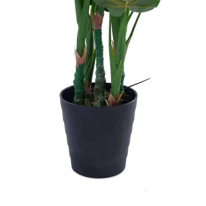 Monstera Tree Green H120Cm Pan Home