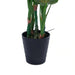 Monstera Tree Green H120Cm Pan Home