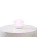 Moss Shell Lamp With Dream Pearl - White Pan Home