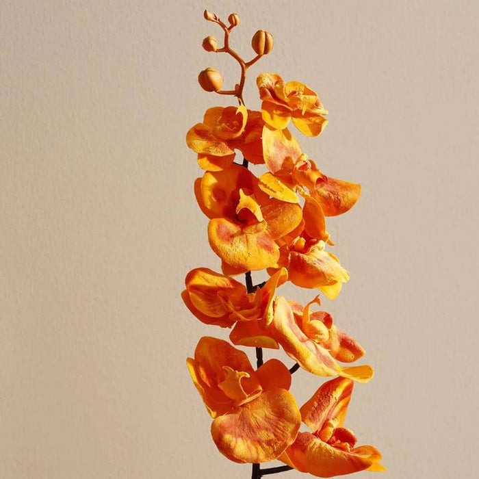 Moth Orchid Single Stem Flower H95Cm - Orange Pan Home