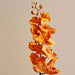 Moth Orchid Single Stem Flower H95Cm - Orange Pan Home