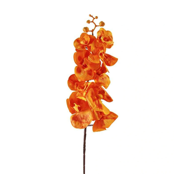 Moth Orchid Single Stem Flower H95Cm - Orange Pan Home