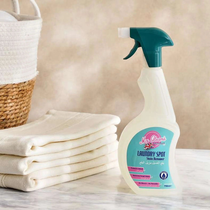 Mrs-Gleams Laundry Spot Stain Remover White 750G Pan Home