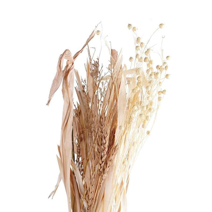 Nami Dried Flowers H60Cm - Brown Pan Home