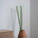 Natural Decor Sticks 150Cm - Green Pan Home