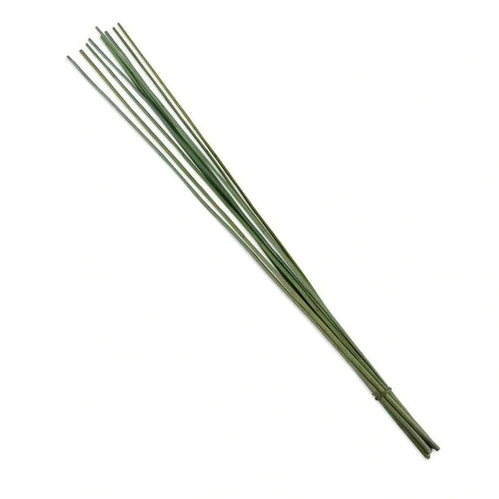 Natural Decor Sticks 150Cm - Green Pan Home