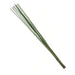 Natural Decor Sticks 150Cm - Green Pan Home