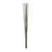 Natural Decor Sticks 150Cm - Green Pan Home