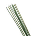 Natural Decor Sticks 150Cm - Green Pan Home