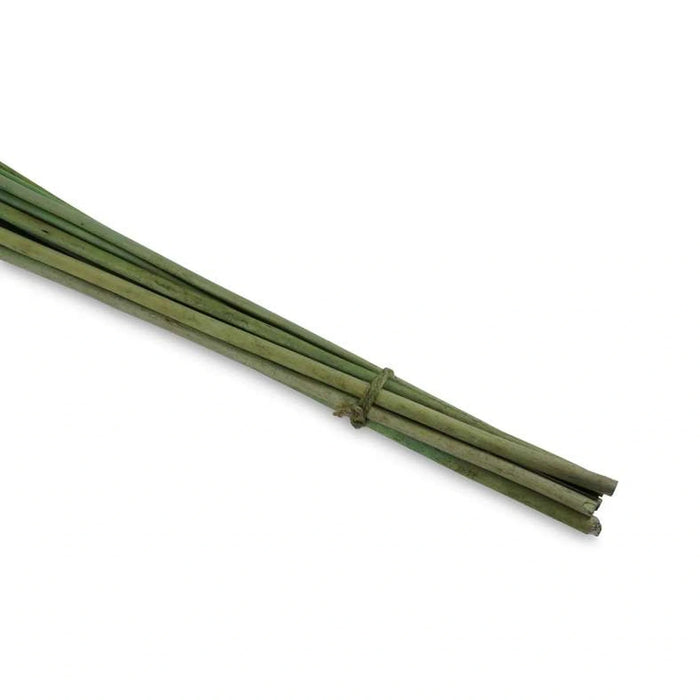 Natural Decor Sticks 150Cm - Green Pan Home