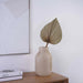 Natural Dried Palm Leaves 40X60Cm - Natural Pan Home