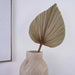 Natural Dried Palm Leaves 40X60Cm - Natural Pan Home