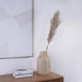 Natural Dried Pampas Grass 110Cm - Natural Pan Home