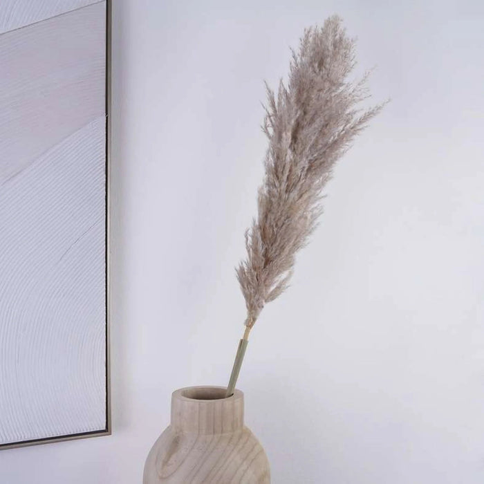 Natural Dried Pampas Grass 110Cm - Natural Pan Home