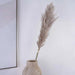 Natural Dried Pampas Grass 110Cm - Natural Pan Home