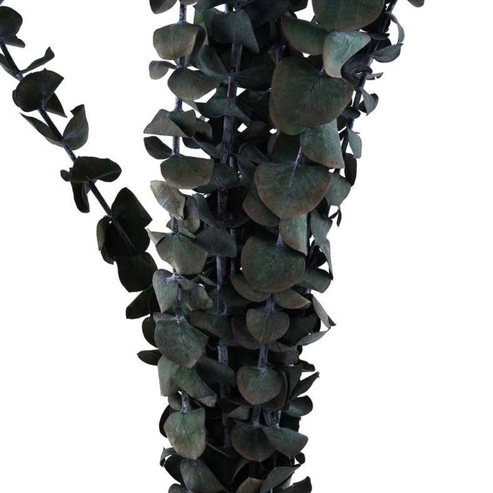 Natural Preserved 10 Pcs Bunch Eucalyptus 60Cm - Green
