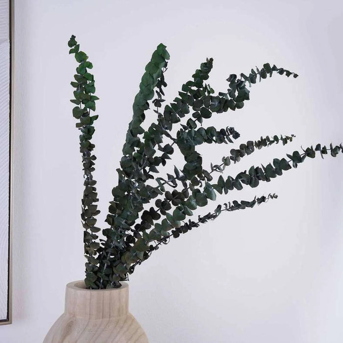 Natural Preserved 10 Pcs Bunch Eucalyptus 60Cm - Green