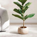 Nico Stoneware Planter With Gold Finish 27X27X16.5Cm - Beige Pan Home