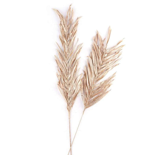 Oddete Dried Plant Stem H100Cm - Gold Pan Home
