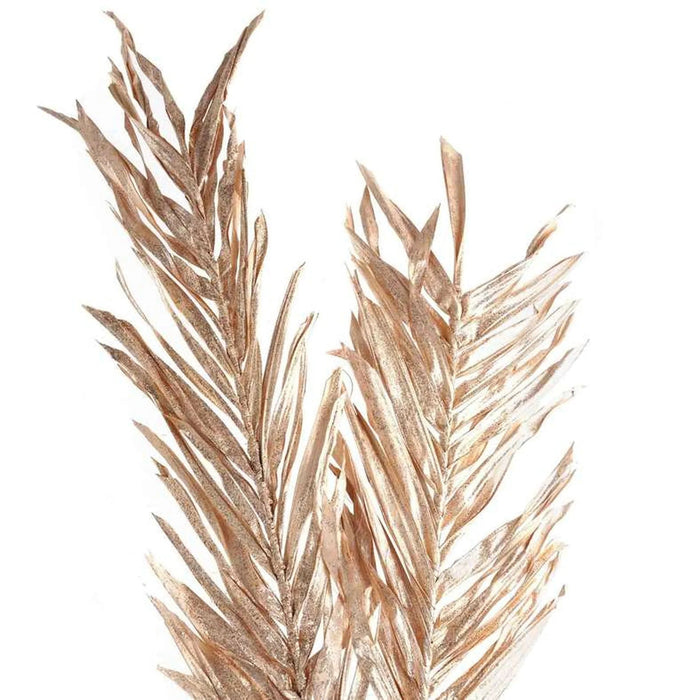 Oddete Dried Plant Stem H100Cm - Gold Pan Home
