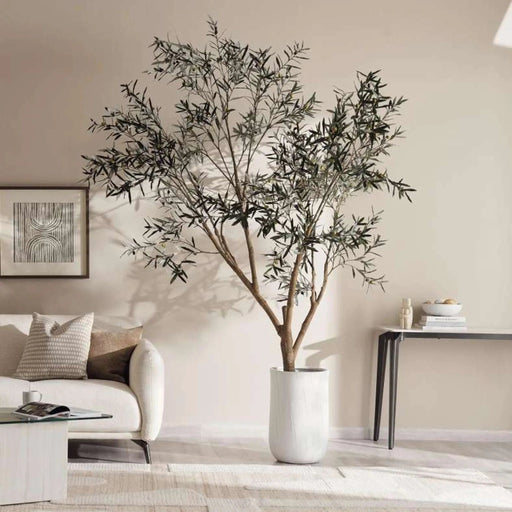 Olea Europaea Tree With Pot H285Cm - Green Pan Home
