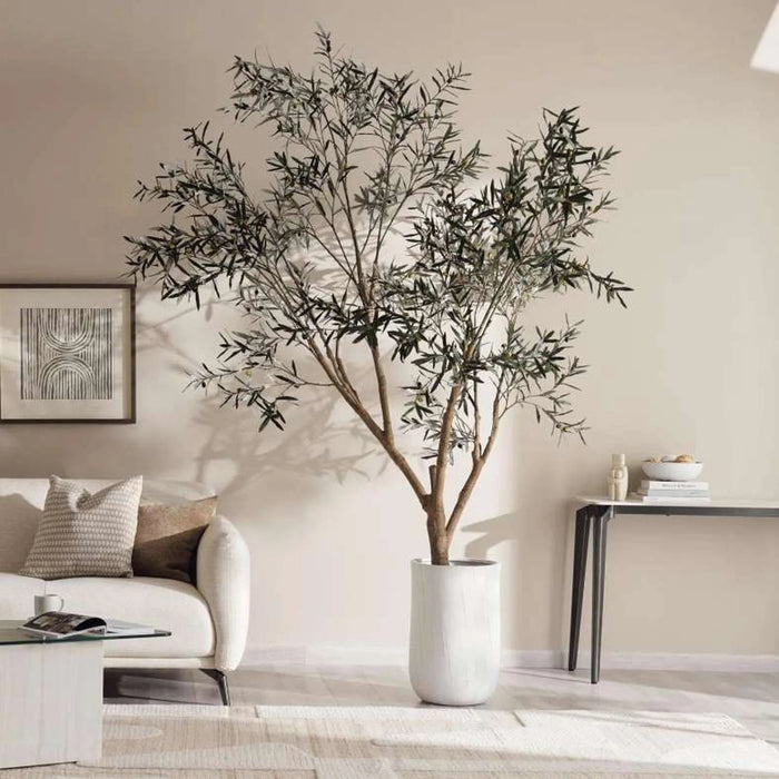 Olea Europaea Tree With Pot H285Cm - Green Pan Home