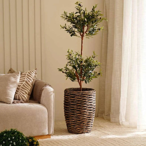 Olive Artificial Tree H136Cm- Green Pan Home
