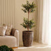 Olive Artificial Tree H136Cm- Green Pan Home