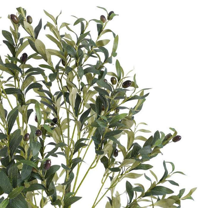 Olive Tree With Pot H150Cm -Green Pan Home