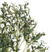 Olive Tree With Pot H150Cm -Green Pan Home
