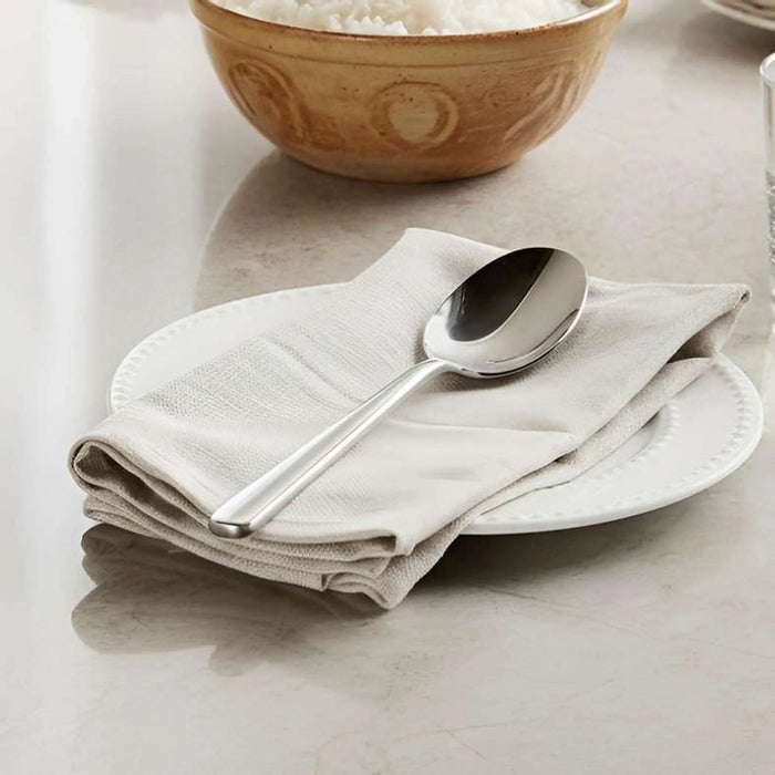 Orbit 2-Piece Serving Spoon 23Cm -Chrome