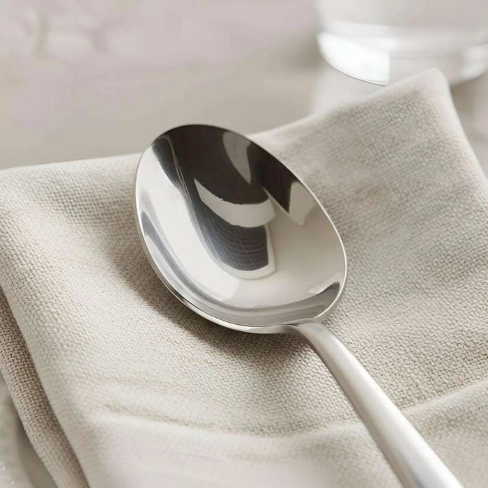 Orbit 2-Piece Serving Spoon 23Cm -Chrome