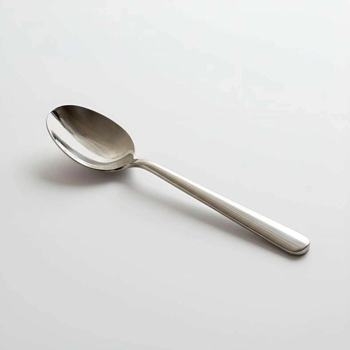 Orbit 2-Piece Serving Spoon 23Cm -Chrome